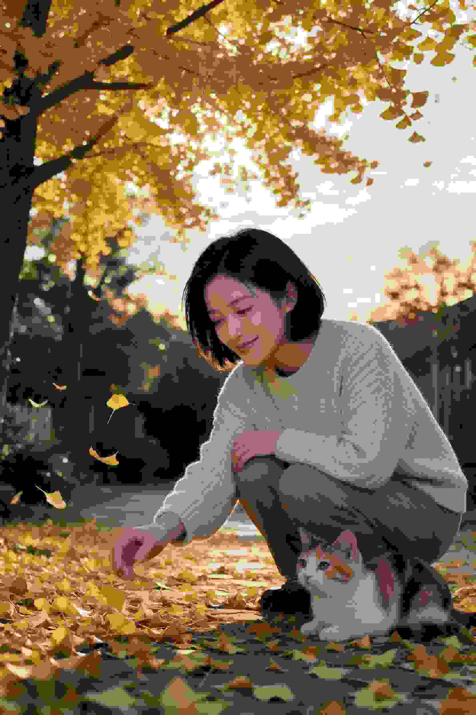 机械之心